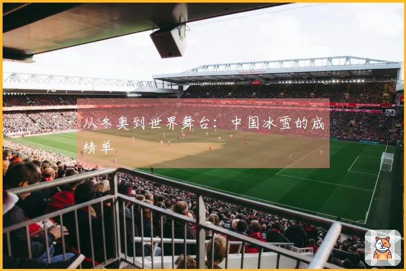 从冬奥到世界舞台：中国冰雪的成绩单
