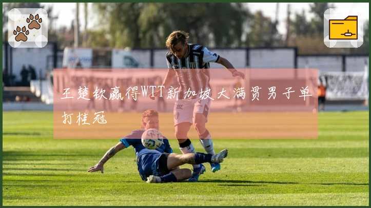 王楚钦赢得WTT新加坡大满贯男子单打桂冠