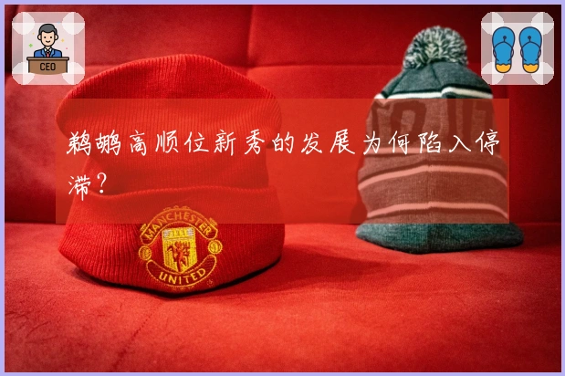 鹈鹕高顺位新秀的发展为何陷入停滞？